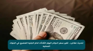 تحديث مفاجئ.. تغير سعر الدولار اليوم الثلاثاء أمام الجنيه المصري في البنوك المحلية